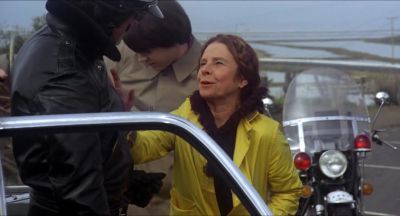 Don't  get officious - Harold and Maude