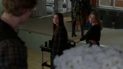 No, you don't get it.
I ordered snapdragons - Pretty Little Liars: The Perfectionists