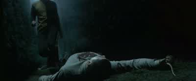 No, don't! - Harry Potter and the Goblet of Fire