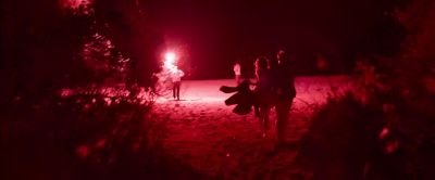 No, don't use the flares! - Triangle of Sadness