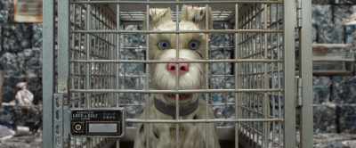 No, my duties
are, uh, focused entirely - Isle of Dogs