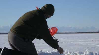 No fish.
False alarm. - Life Below Zero: Next Generation