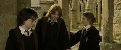No, I didn't think so. - Harry Potter and the Goblet of Fire