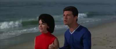 No I mean about skydiving - Beach Blanket Bingo
