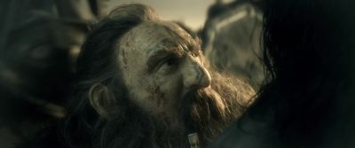 No I will fight with you - The Hobbit: The Desolation of Smaug