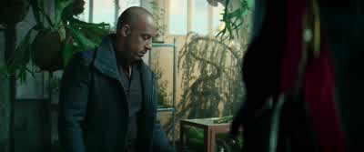 - No, it hasn't sprouted yet. - The Last Witch Hunter