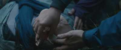 -No, it's gone,
and it's no one's fault. - Force of Nature: The Dry 2
