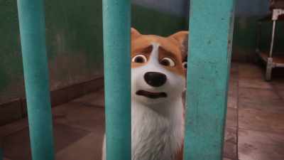  No ... Jack!  - The Queen's Corgi