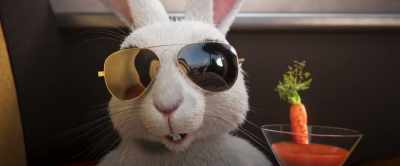 No judgment, baby, I've been
there, first class bummer. - Gracie & Pedro: Pets to the Rescue