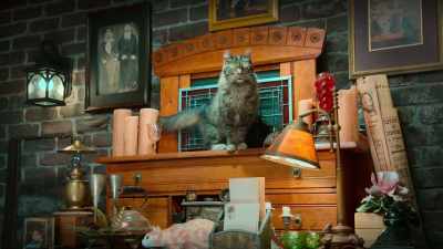 No, just for me, please. - Scaredy Cats