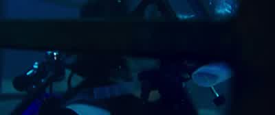 No, Kate, no, Kate. - 47 Meters Down