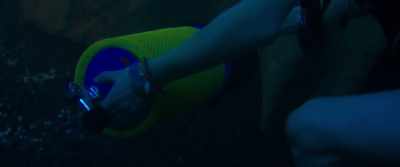 No, Kate, no, no, no, don't move.
Stay down, please, stay down. - 47 Meters Down