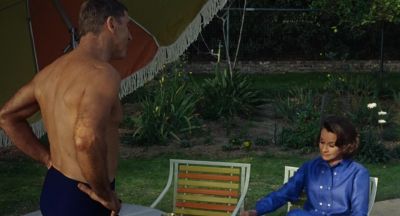 You've got a gorgeous pool - The Swimmer