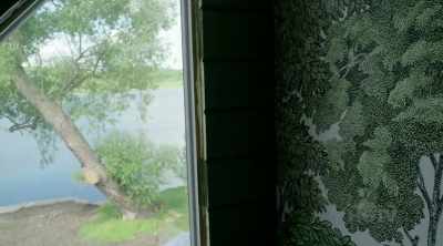 No, Kyle, seriously,
look at the trees, - Renovation Resort