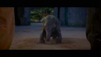 No, l will shoot you completely - Total Dhamaal