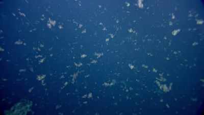 No, la sorveglio io.
Mi manca una coreana. - Deep Rising