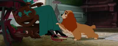 No, Lady. - Lady and the Tramp
