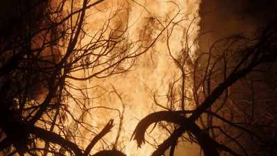 NO LONGER DO WE CARRY FIRE, - Origins: The Journey of Humankind