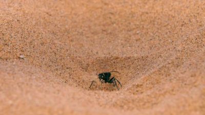 No longer than a paper clip, - Tiny World