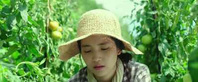 No matter how much I pluck the weed out, - Little Forest