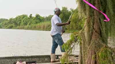No matter how stink
the bait was, - Swamp People