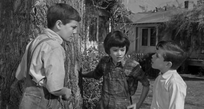 No matter what she says to you - To Kill a Mockingbird