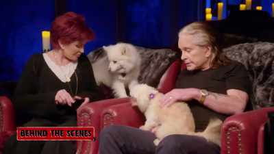 No, no, you can stay,
but don't lick me. - The Osbournes Want to Believe
