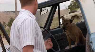No, no, come on. - Thunderheart