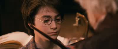 No, no, definitely not. - Harry Potter and the Philosopher's Stone