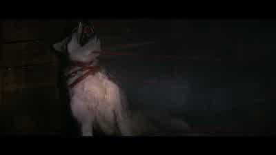 No! No! God! - Don't! Don't! No! - Get back! Get back! - The Thing