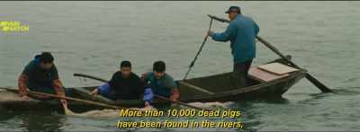 No, no, I'm a vegetable farmer. - Dead Pigs