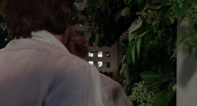 No No Johnny - The Beguiled