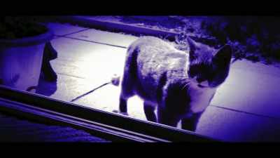 No, no, no evidence
of forced entry. - The Real Prime Suspect