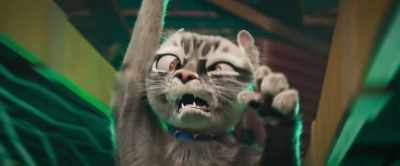 No, no, no, no, no, no, ah! - Gracie & Pedro: Pets to the Rescue