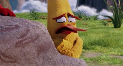 No. No. No. - The Angry Birds Movie