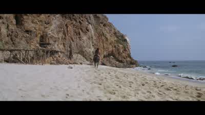 No, no, no! - Planet of the Apes