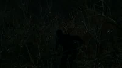 No, no, no. - Marvel's The Punisher