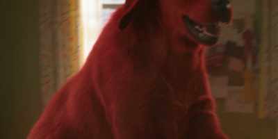 - No, no, no. Stop!
- [thumping] - Clifford the Big Red Dog