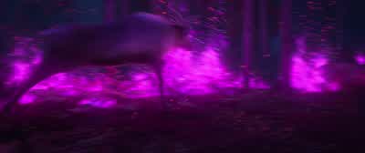 No! No! No! The reindeer! That's a dead end! Come on, Sven! We'll get them. Elsa! Get out of there! - Frozen II