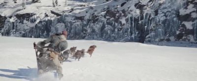 No! No! - The Call of the Wild