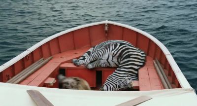 No! No! - Life of Pi