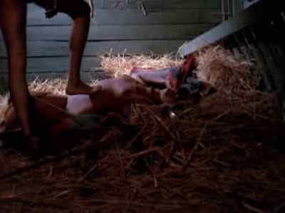 No.
 No. - The Erotic Adventures of Zorro