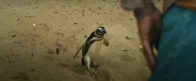 No. No. - My Penguin Friend
