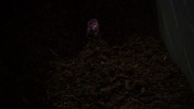 No! No-- - Criminal Minds