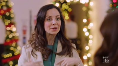 No, no, wait. I have a better idea.
You could paint me. - A Brush with Christmas