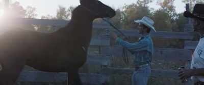 - No, no
-(WHINNIES) - The Rider