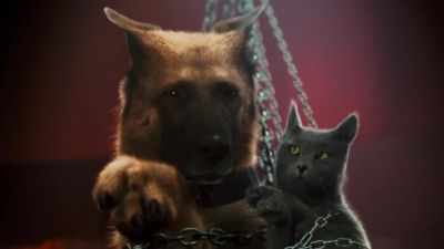 No no You'll never get away with this Kitty - Cats &amp; Dogs: The Revenge of Kitty Galore