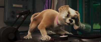 No, not now, not after all this! - Gracie & Pedro: Pets to the Rescue