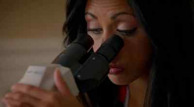 No, nothing there. - Royal Pains