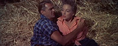 No of me - The Seven Year Itch